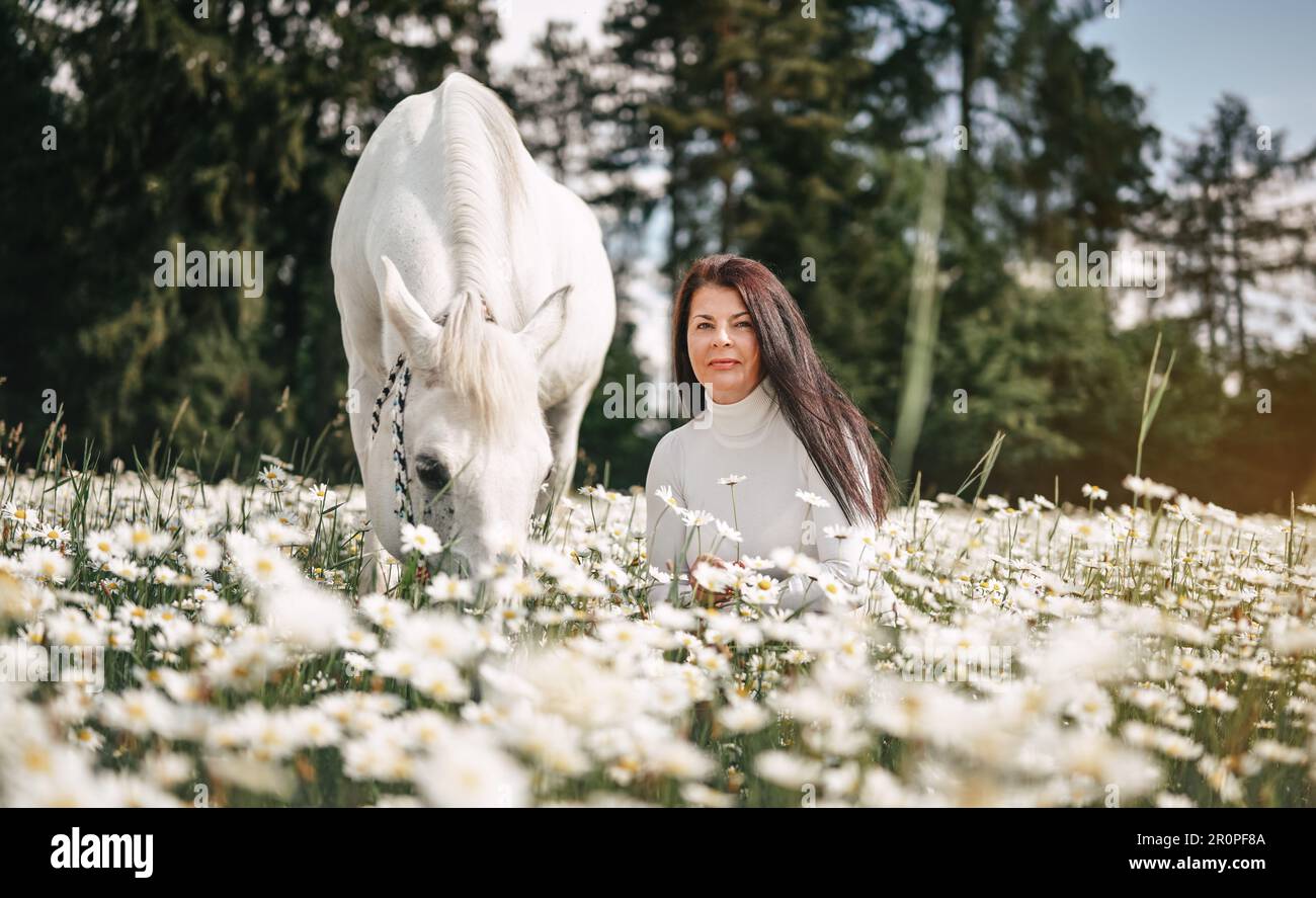 Eine Frau, die auf einer Frühlingswiese im Wald sitzt, voller Gänseblümchen, ein weißes arabisches Pferd neben ihr Stockfoto