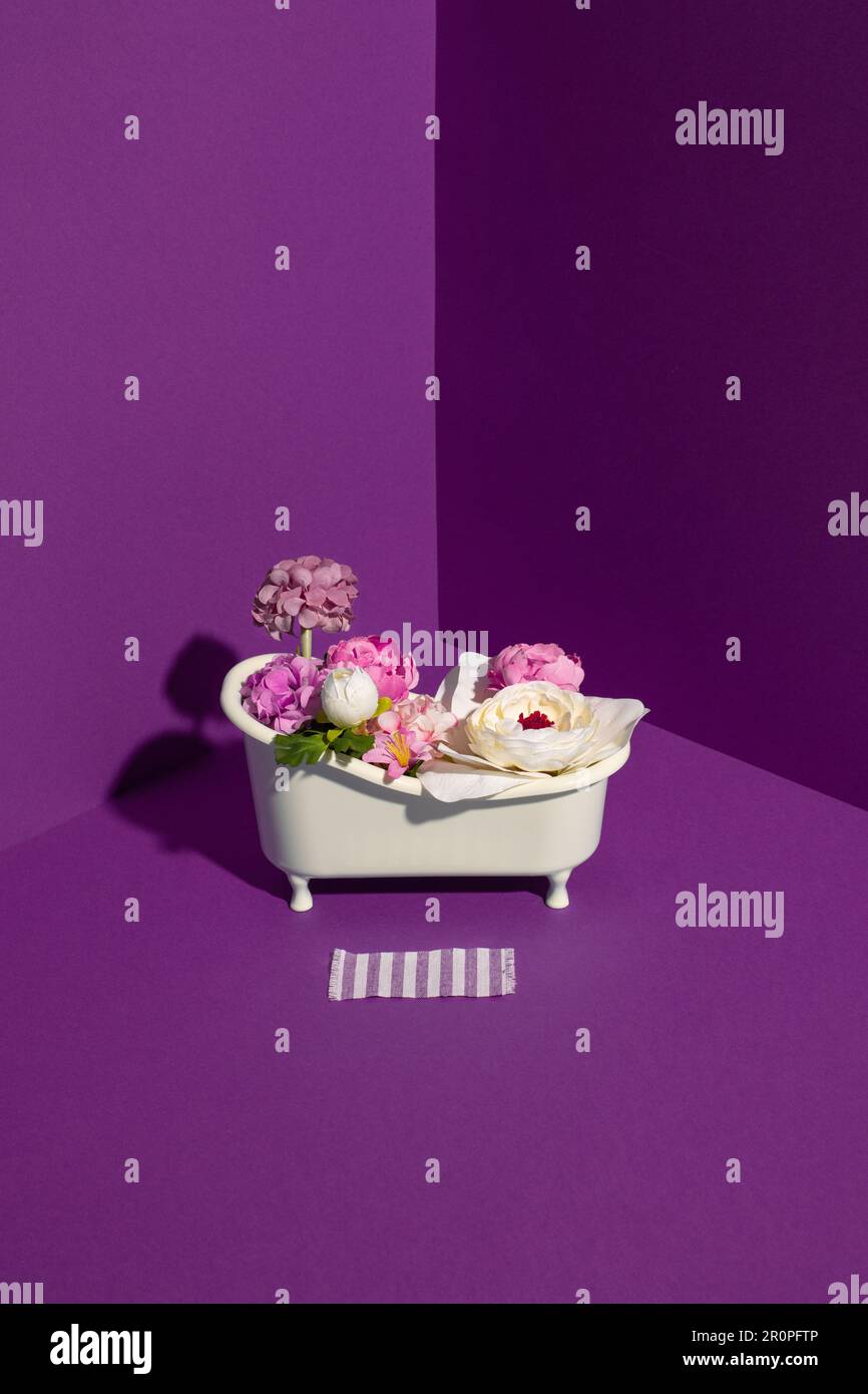 Badewanne gefüllt mit Blumen in einer Ecke der violetten Wände. Minimalistisches kreatives Konzept. Stockfoto