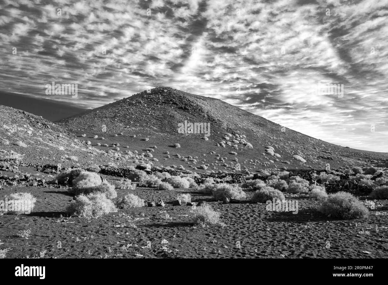 Kalte Lava im Detail im Timanfaya-Nationalpark auf Lanzarote mit spärlicher Vegetation wie Busch und widerstandsfähigen Pflanzen, Spanien Stockfoto