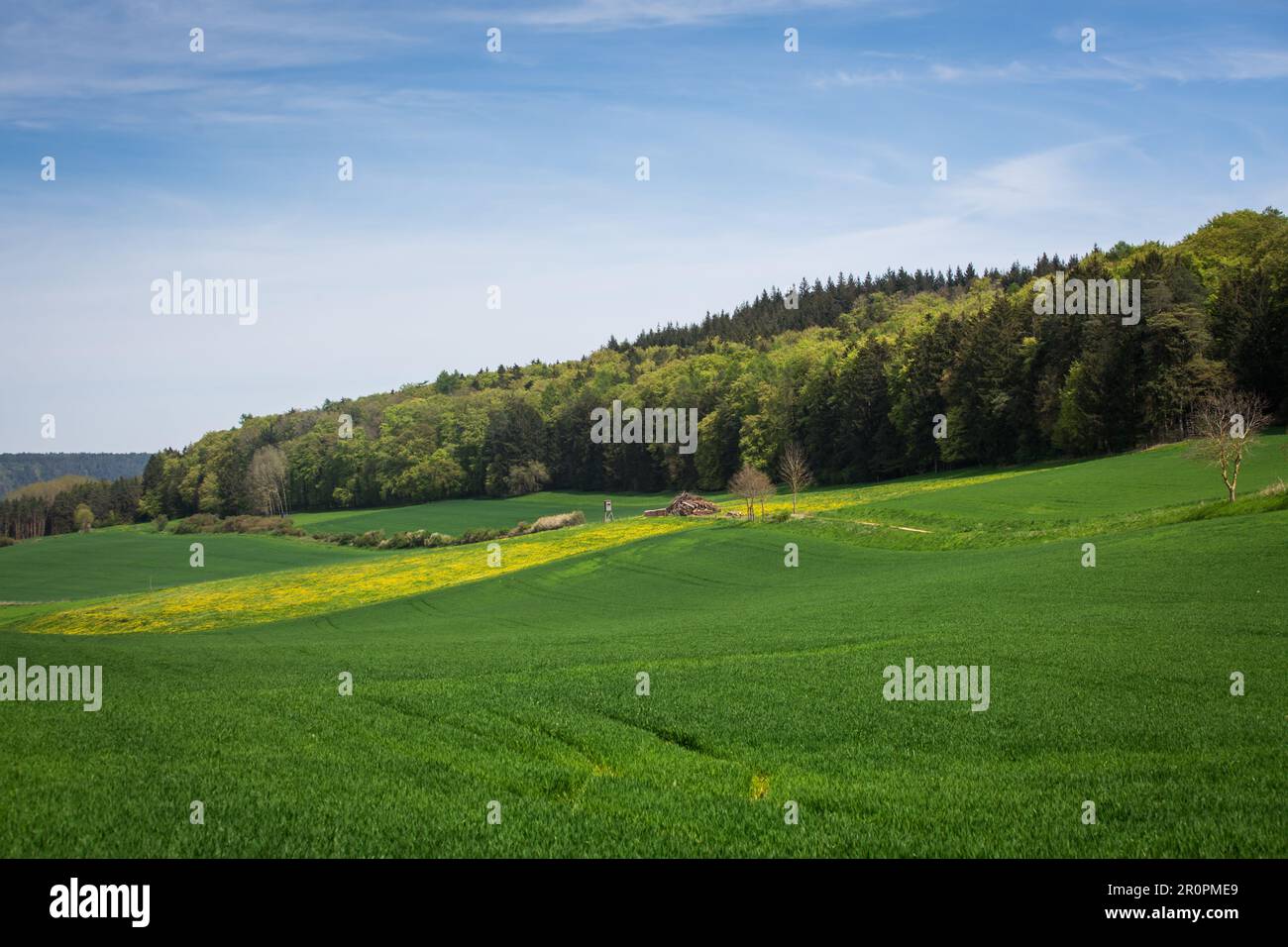 Altmühltal, Mittelfranken, Bayern - idyllische Landschaft an einem sonnigen Frühlingstag Stockfoto