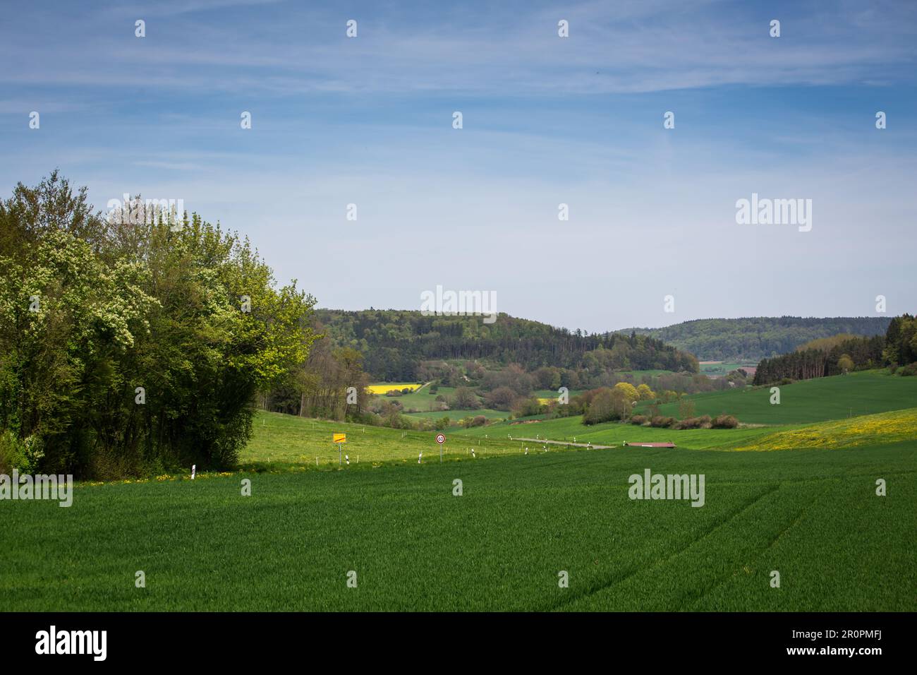 Altmühltal, Mittelfranken, Bayern - idyllische Landschaft an einem sonnigen Frühlingstag Stockfoto