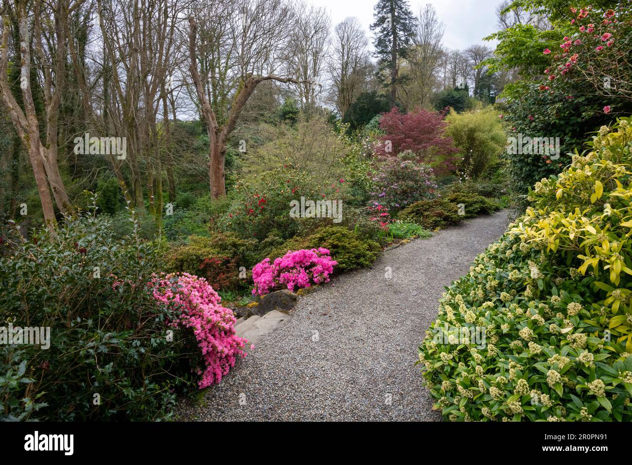 Plas Cadnant Hidden Gardens ein wunderschöner Garten in der Menai Bridge, Anglesey, Nordwales. Sie ist regelmäßig der Öffentlichkeit zugänglich und sehr interessant. Stockfoto