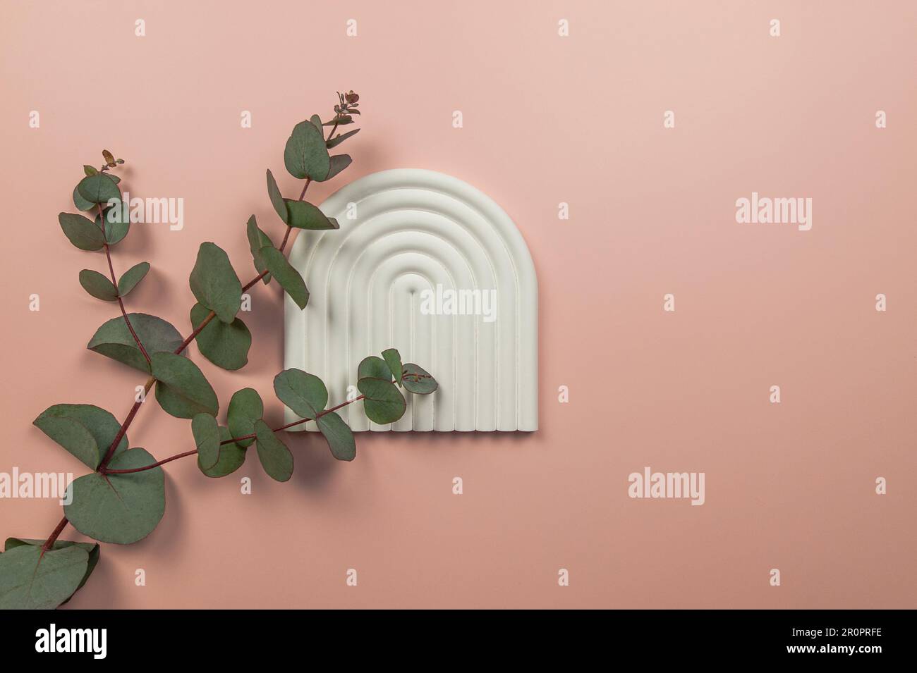 Ansicht von oben auf Eukalyptusblätter und weiße Bogenschale auf pinkfarbenem Hintergrund. Geometrische abstrakte Form für die Präsentation kosmetischer Produkte, Kopierbereich. Stockfoto