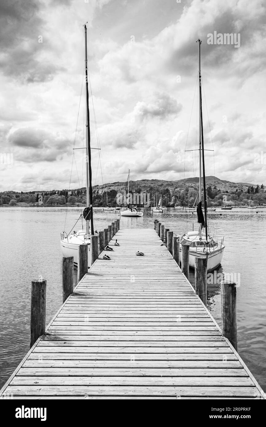 Ein Trio von Enten stellte sich vor, wie sie auf einem hölzernen Steg am Waterhead am Lake Windermere sonnenbaden, während zwei Yachten nebenan vor Anker liegen. Stockfoto