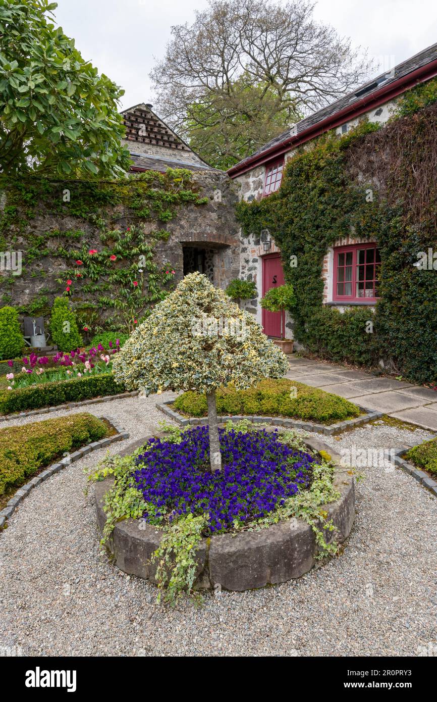 Plas Cadnant Hidden Gardens ein wunderschöner Garten in der Menai Bridge, Anglesey, Nordwales. Sie ist regelmäßig der Öffentlichkeit zugänglich und sehr interessant. Stockfoto