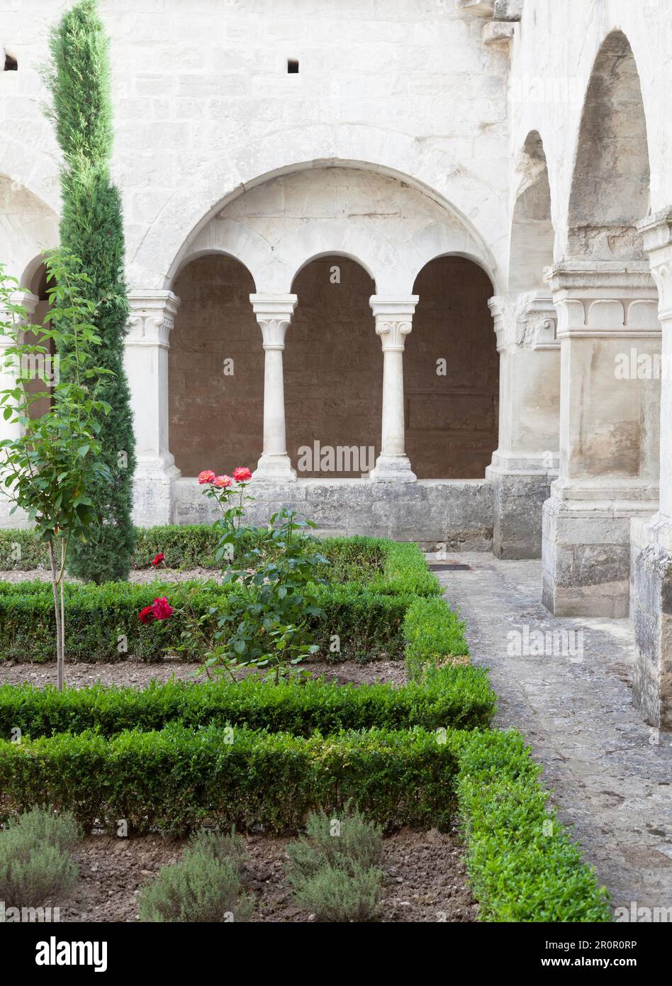 Frankreich, Provence. Gartendetails der Abtei Senanque. Mehr als 800 Jahre Geschichte auf diesem Bild Stockfoto