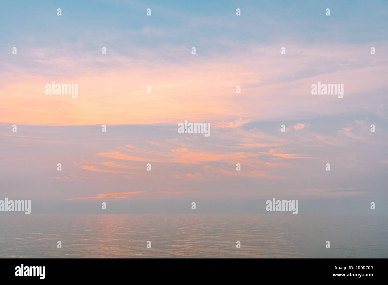 Sonnenuntergang in Pastelltönen über dem Meer mit einem Vogelflug Stockfoto