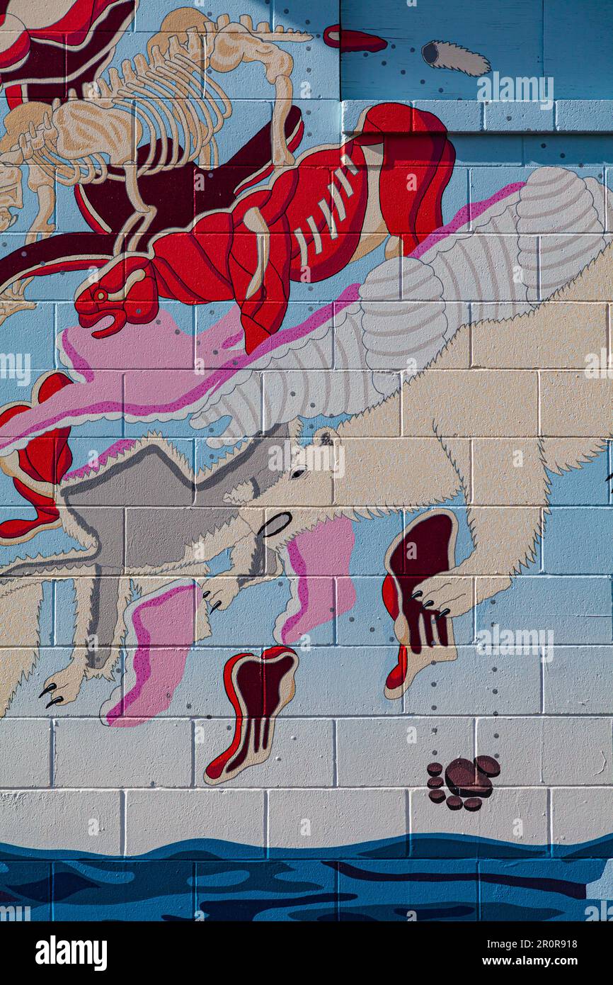 Unbekannte Wandkunst im Mount Pleasant-Viertel von Vancouver, Kanada Stockfoto