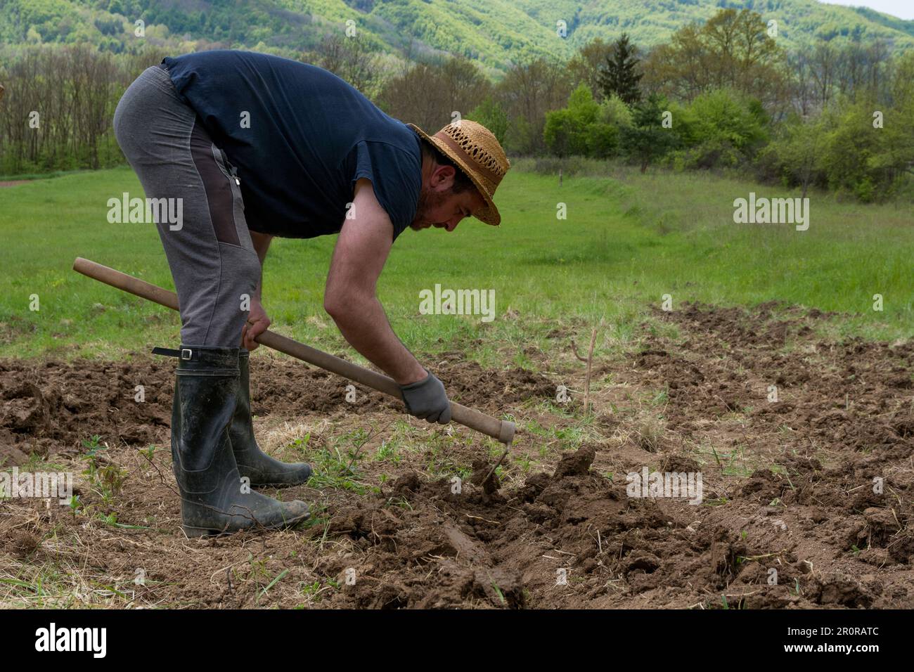 Ein Bauer mit einer Hacke macht Reihen und ein Loch auf einem Feld, um sie für den Kartoffelanbau vorzubereiten. Der Mann trägt einen Strohhut auf dem Kopf Stockfoto