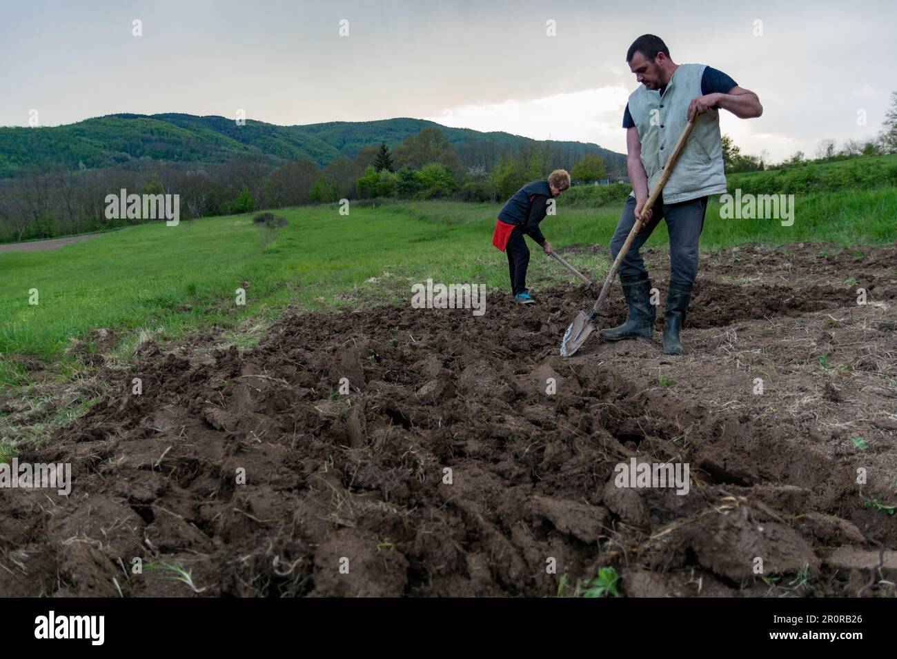 Ein Bauer gräbt das Feld mit einer Schaufel, während eine Frau im Hintergrund den Boden mit einer Hacke aufbricht, um ihn zu lösen Stockfoto