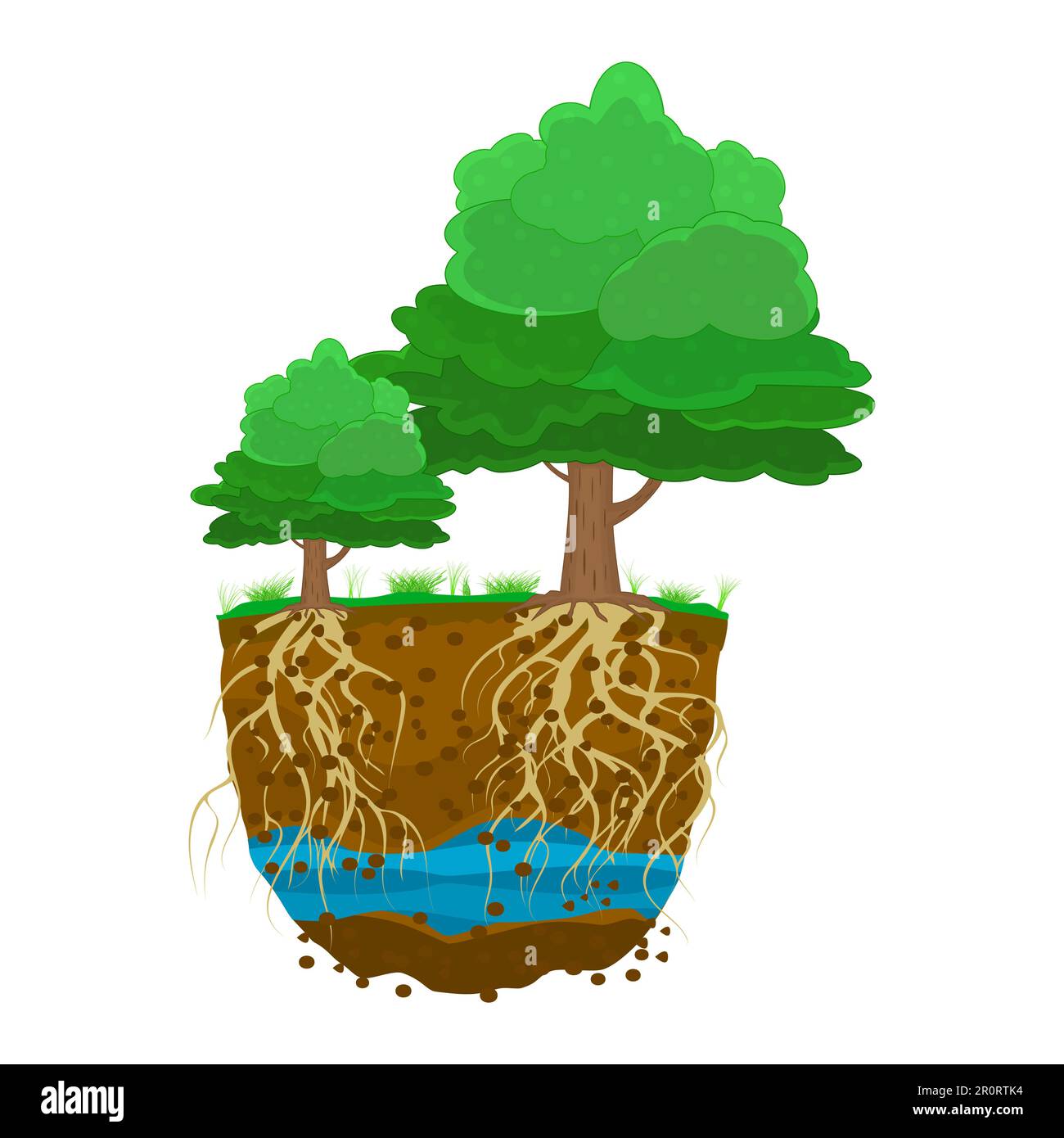 Bäume mit Wurzelsystem im Boden. Pflanzen mit starken Wurzeln. Schmutzschichten, Wasser, Wurzel. Querschnitt des Grundes. Unterirdische Schichten von Erde und Grundwasser Stock Vektor