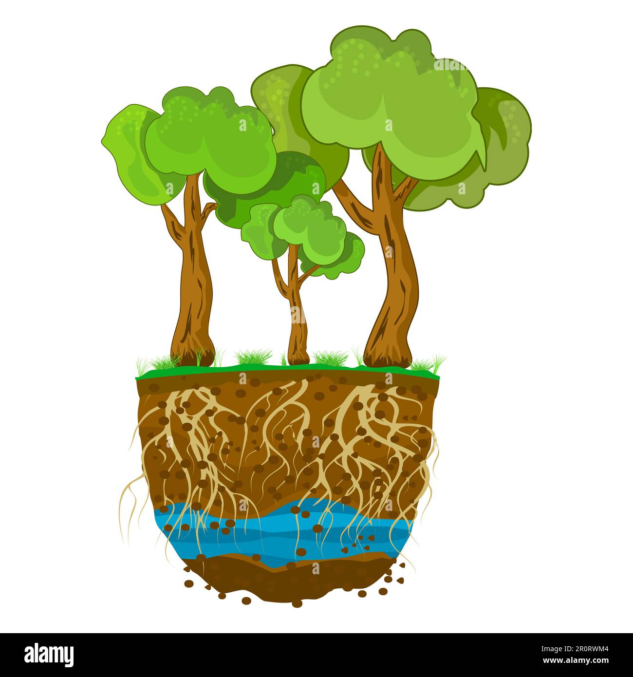 Bäume mit Wurzelsystem im Boden, isoliert auf weißem Hintergrund. Bäume wachsen im Boden. Pflanze mit starken Wurzeln. Schmutzschichten, Wasser und Wurzeln. Kreuz Sek Stock Vektor