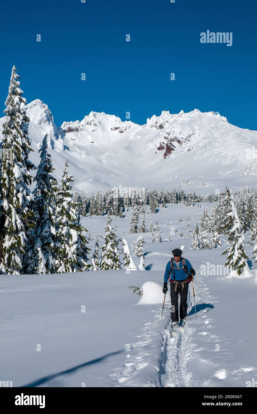 Erwachsene, männliche Skilanglauf unterhalb von Broken Top Mountain im Zentrum von Oregon. Stockfoto