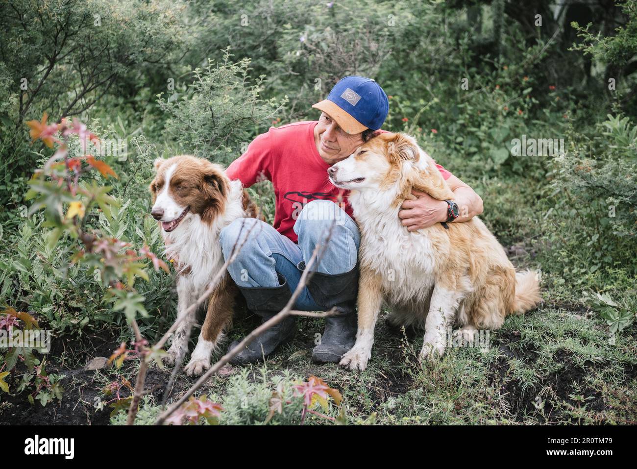 Ein weißer Mann, der sich mit seinen Hundebegleitern in einen liebevollen Moment verwickelt hat Stockfoto