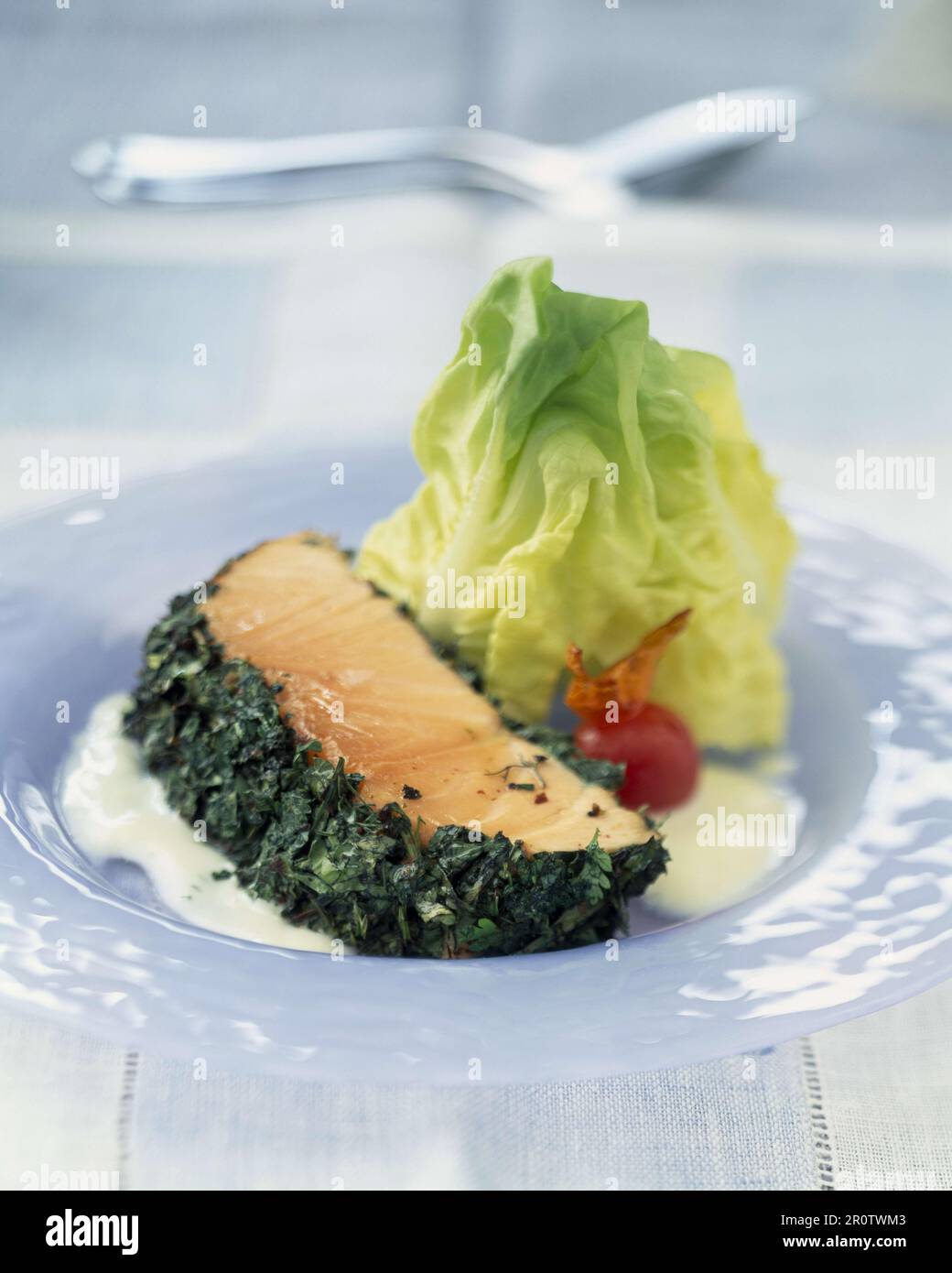 Kräuterlachs Stockfoto