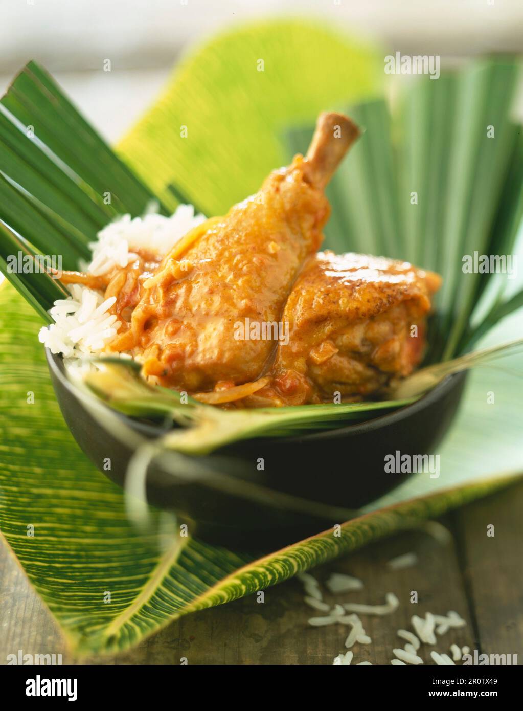 Westindische Kokos Huhn Stockfoto