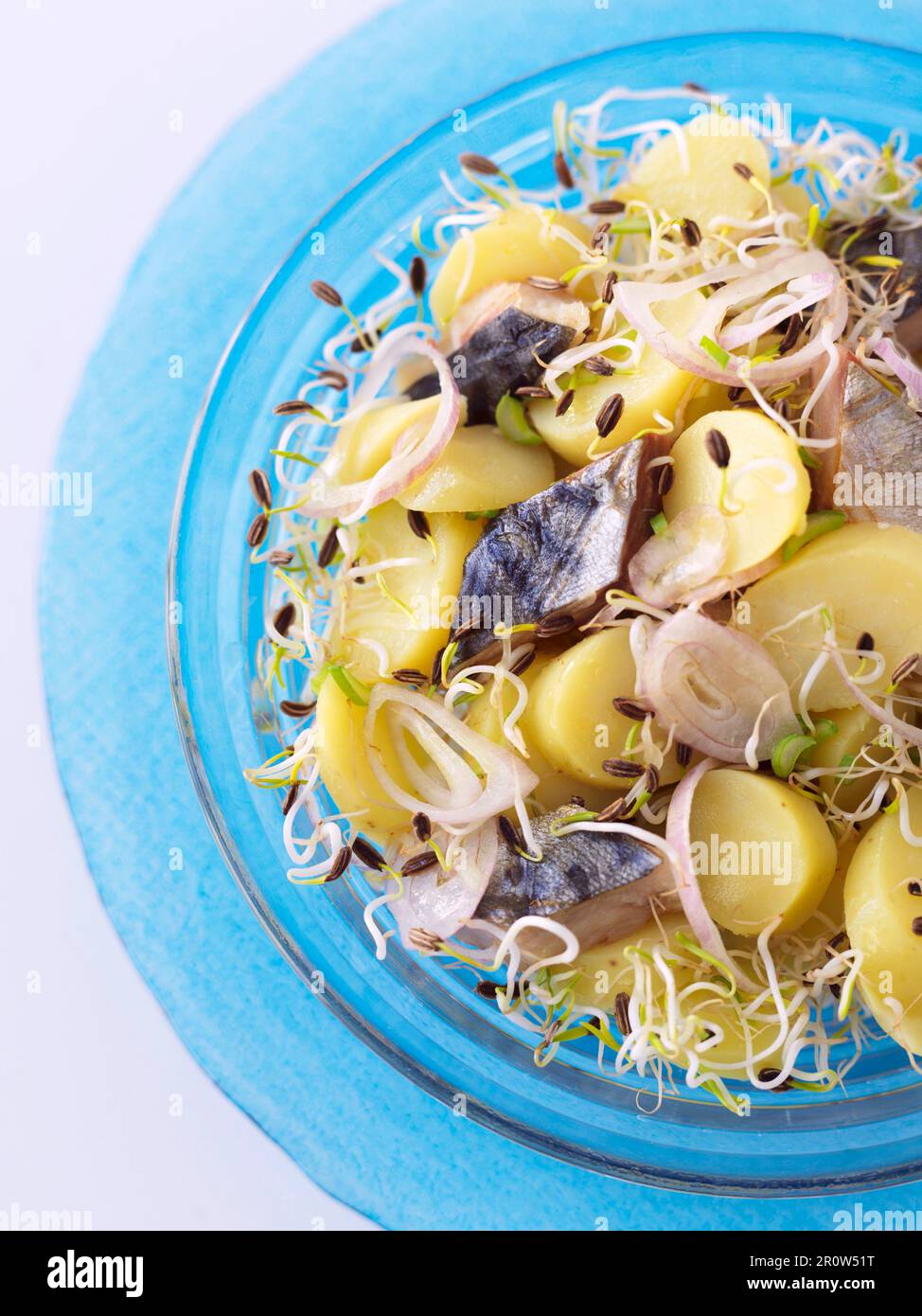 Ratte Kartoffeln, geräucherte Heringe und Fenchelsprossen-Salat Stockfoto