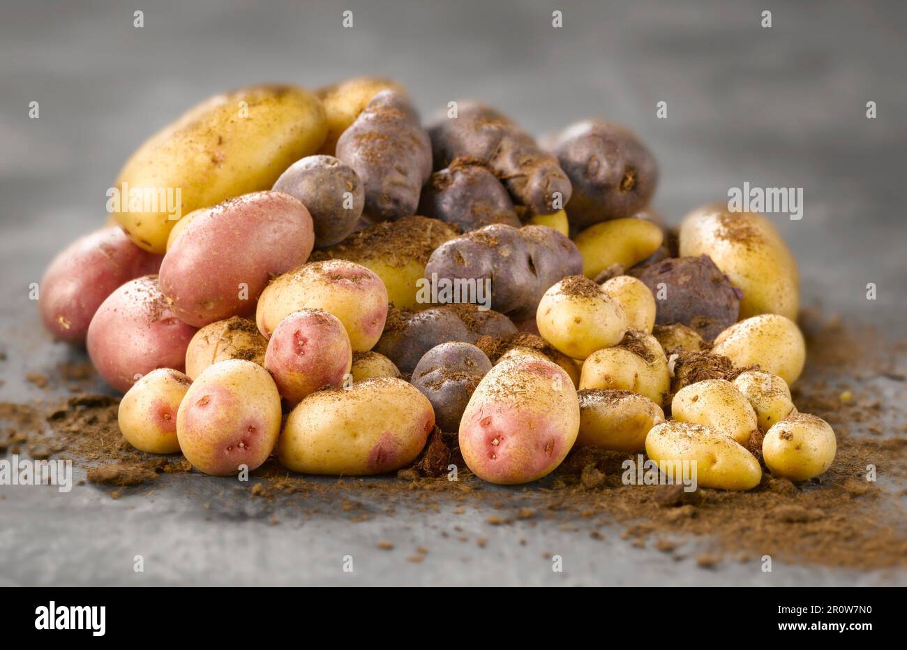 Haufen Kartoffeln Stockfoto