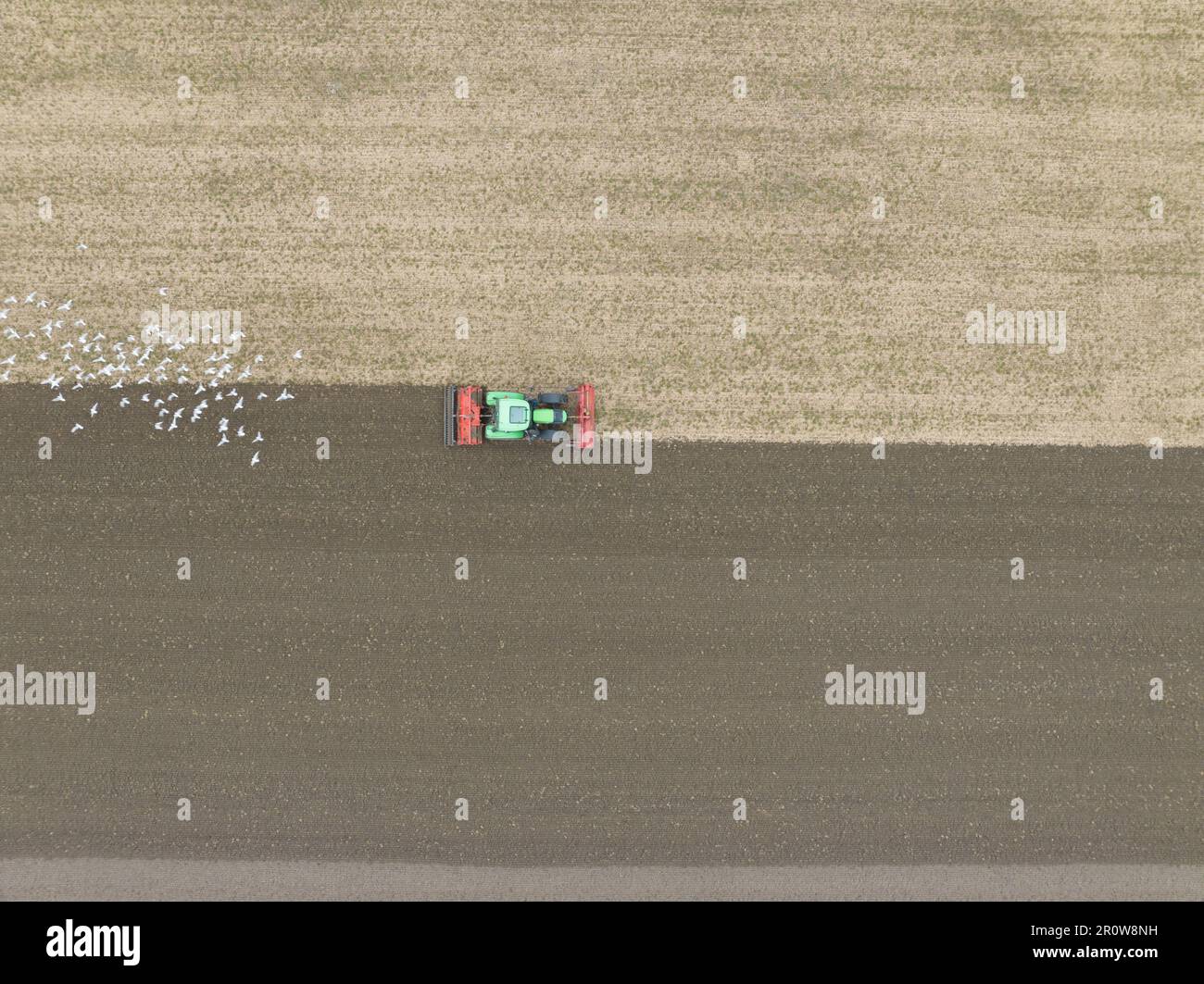 Pflügen des Traktors in der Dröhnenansicht. Bodenbearbeitung und -Vorbereitung für den Traktorpflug. Landwirtschaftlicher Traktor auf dem Feld. Stockfoto