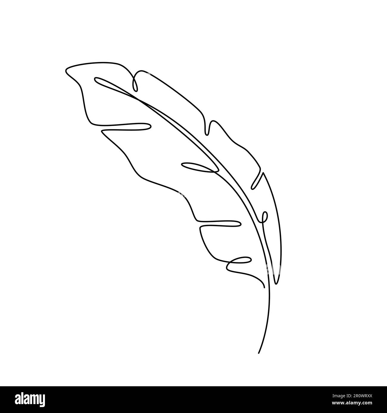 KUNST MIT WEICHEN LINIEN. Durchgehende Linienzeichnung Für Vektorweiche Kante. Vektor für bedrucktes Poster, Karte, Aufkleber-Tattoo-T-Shirt mit Bananenblatt. Feather One Line Art Han Stock Vektor