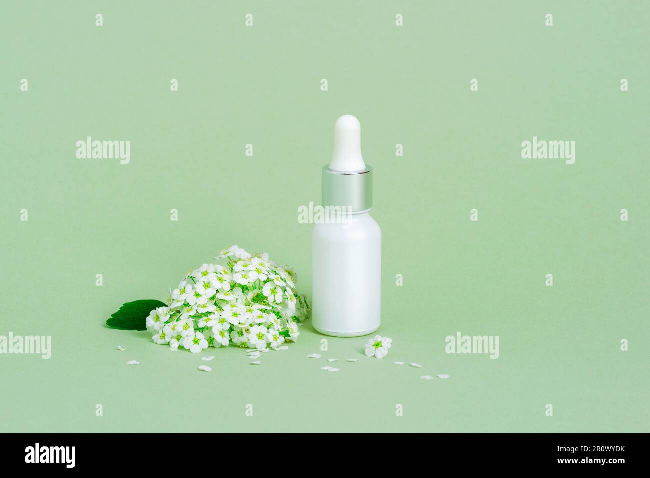 Weiße Serumflasche und kleine weiße Blumen auf grünem Hintergrund. Hautpflege, Naturkosmetik-Konzept. Nahaufnahme. Stockfoto