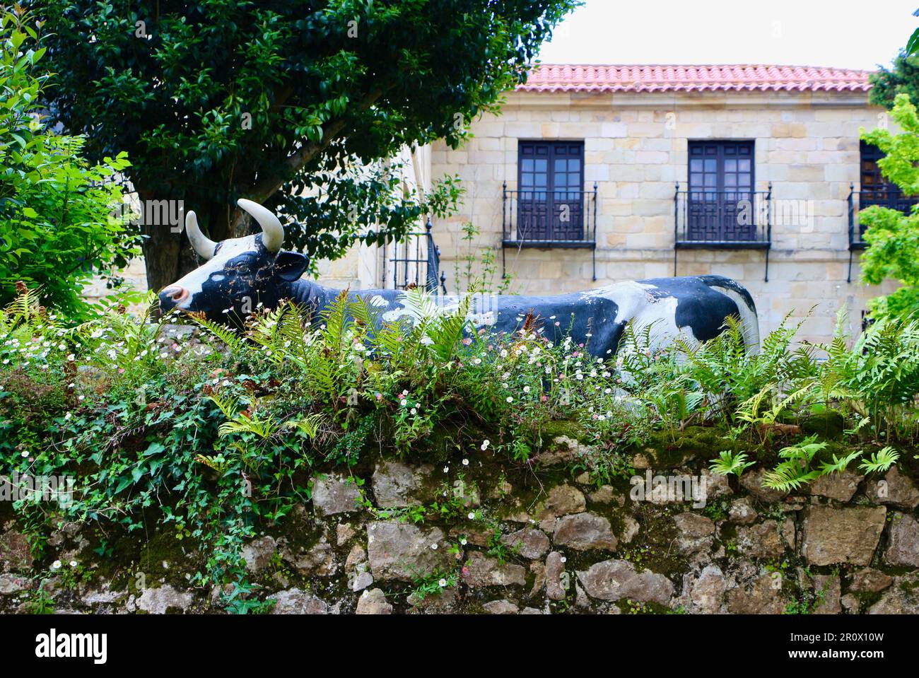 Lebensgroße Kunststoffkuh, die über einer Steinmauer liegt, Santillana del Mar Cantabria Spanien Stockfoto