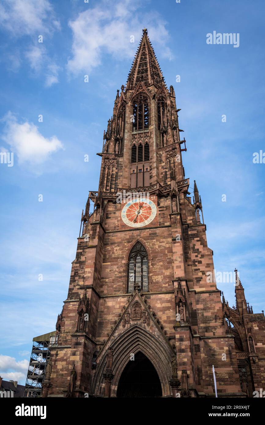 Uhrturm, Freiburger Münster mittelalterlicher Dom, Münsterplatz oder Domplatz, Altstadt, Freiburg im Breisgau, Baden-Württemberg, Deutschland Stockfoto