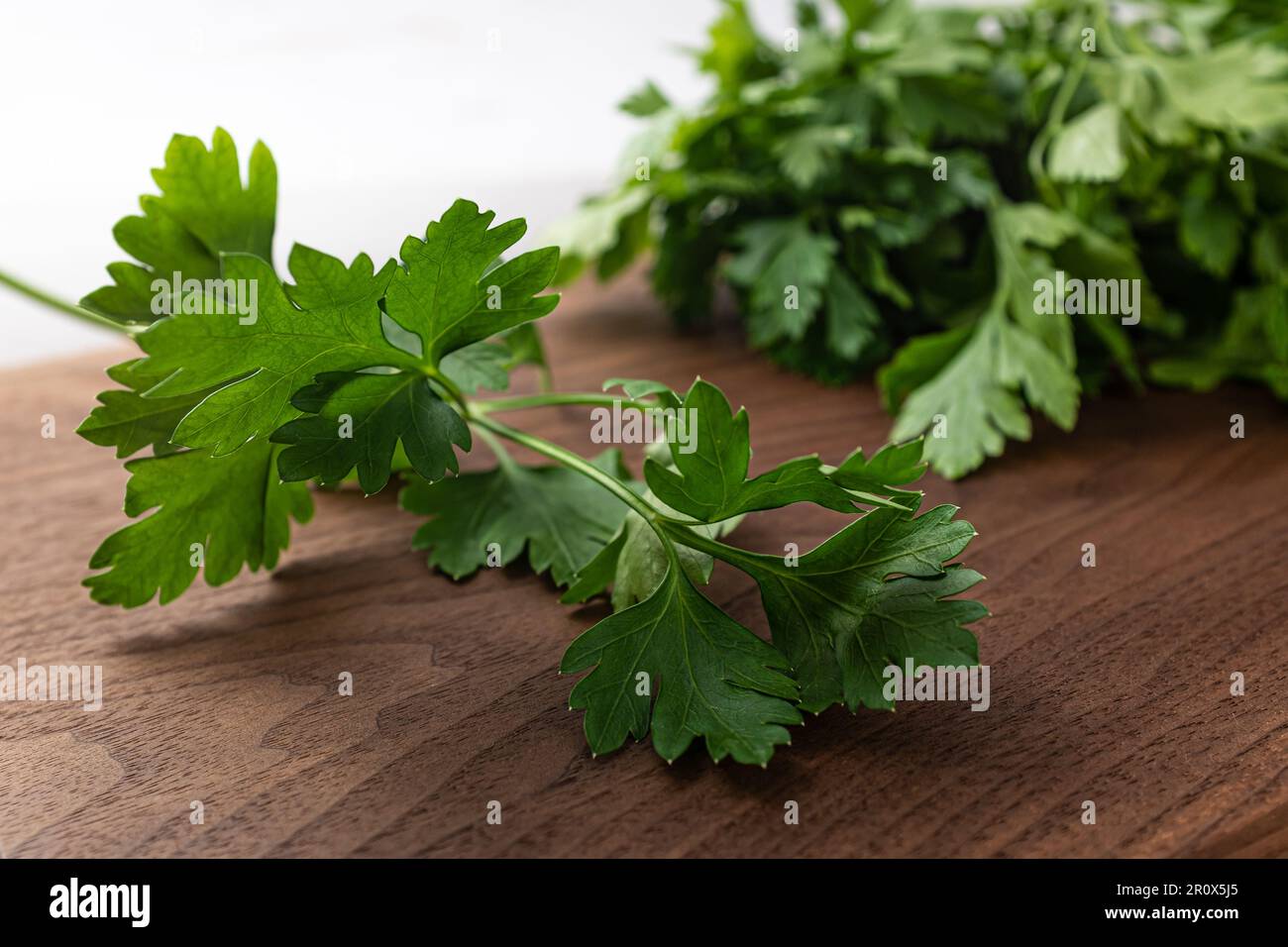 Flachblättrige, duftende italienische Petersilie Stockfoto