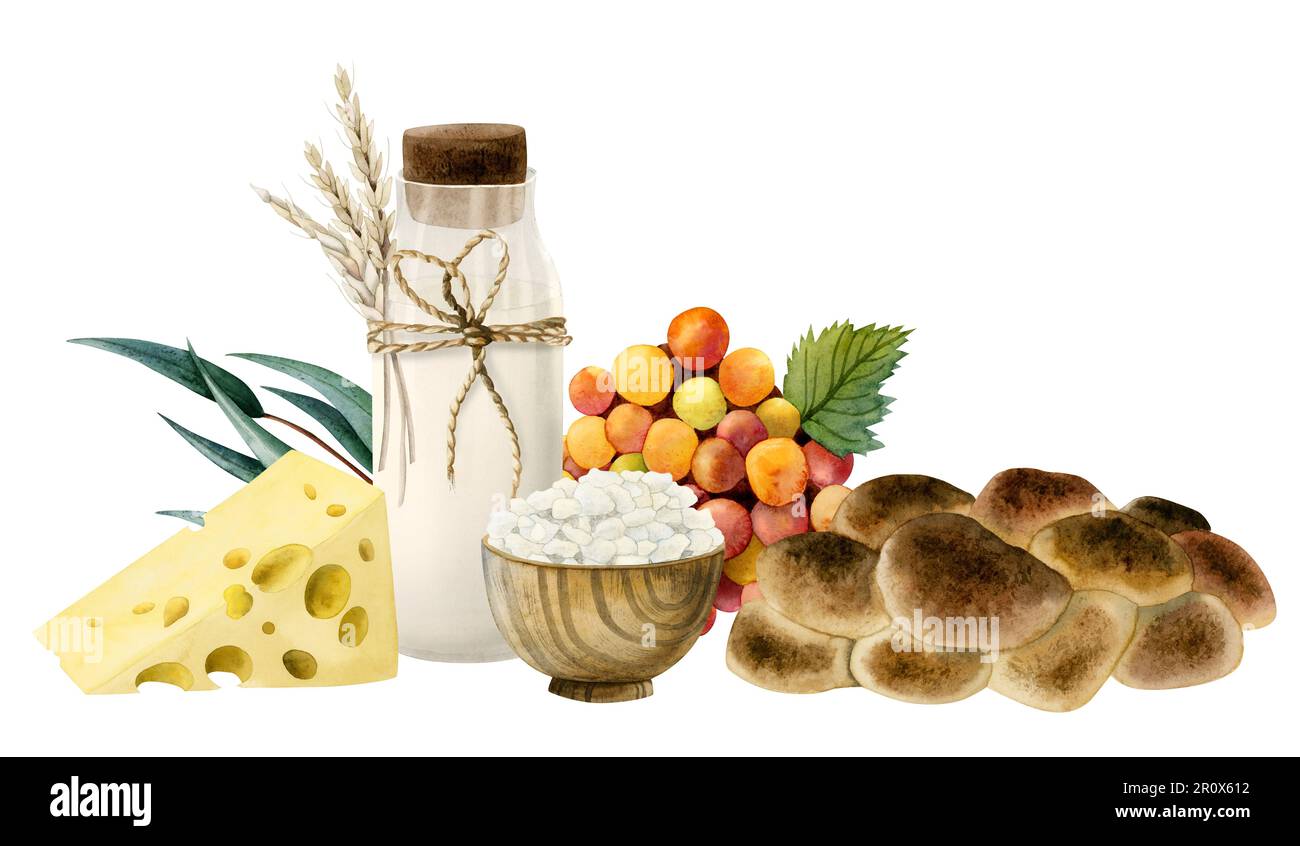 Aquarell-Shavuot-Komposition für Grußkarte. Weihnachtsfoto von Hüttenkäse, Weizen, Milch, Challah, Trauben Stockfoto