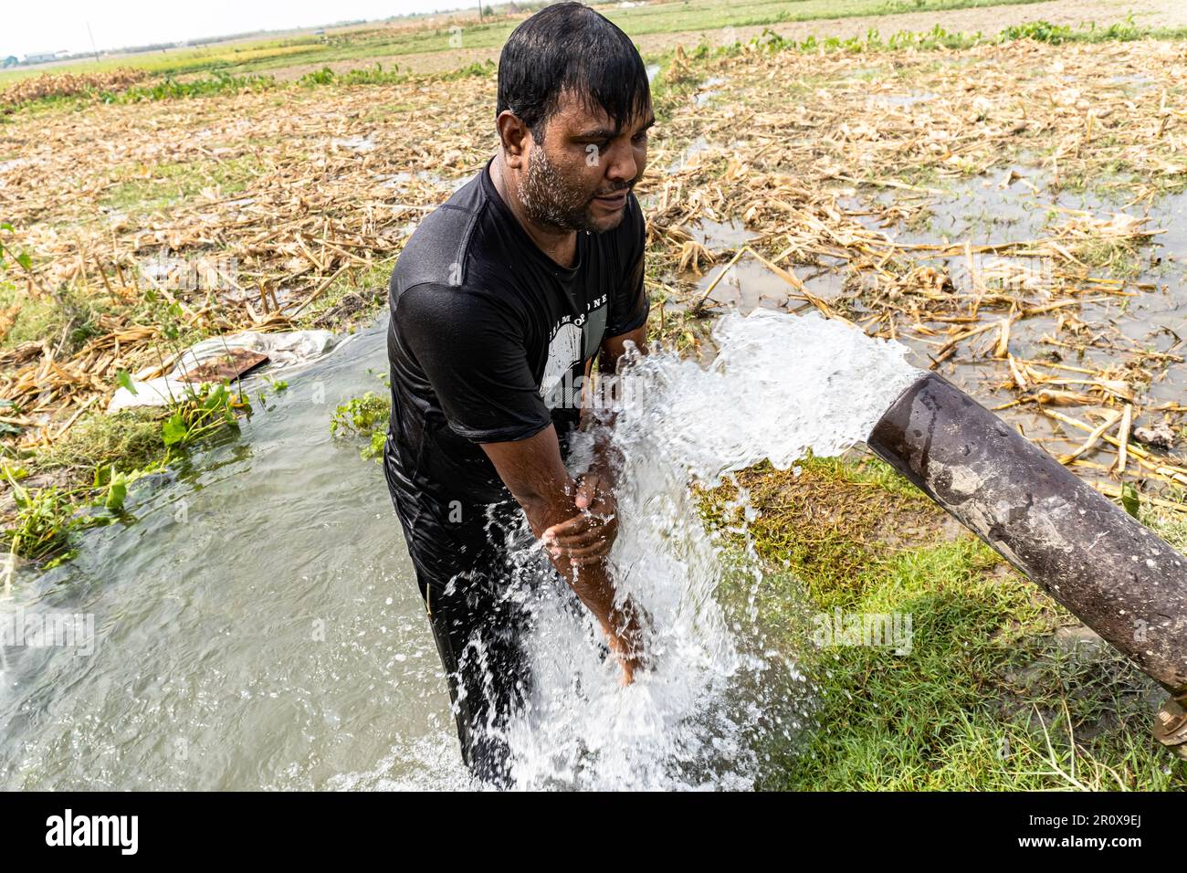 Haut- und Körperpflege. Männliche Körperpflege Und Alltagshygiene-Routine-Konzept. Reinigung mit Hochdruck-Motorwasser im Sommer heiß mittags Stockfoto