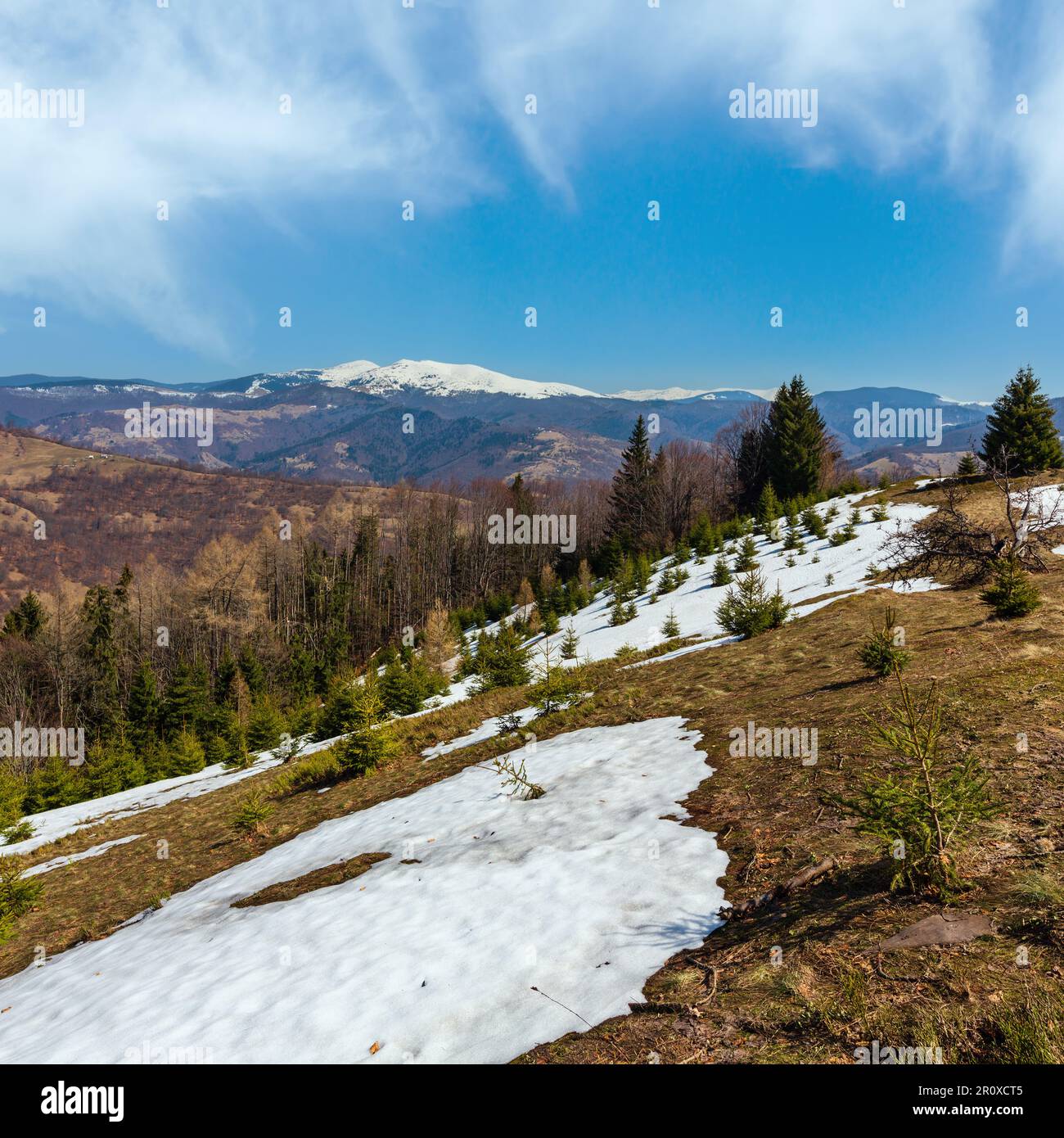Der frühe Frühling Karpaten plateau Landschaft mit schneebedeckten Grat tops in weit, Ukraine. Stockfoto