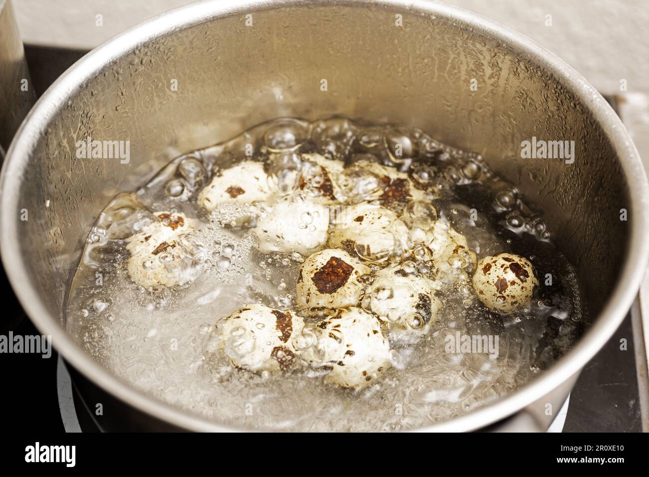 Wachteleier werden in kochendem Wasser in einem Edelstahltopf für ein Gourmetgericht, Kopierraum, ausgewählter Fokus, geringe Schärfentiefe gekocht Stockfoto