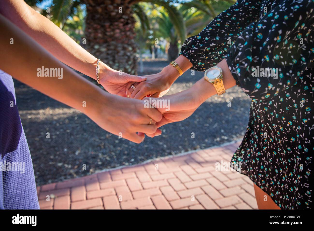 Zwei Frauen halten Händchen, Konzept der Einheit und Unterstützung zwischen Frauen. Stockfoto