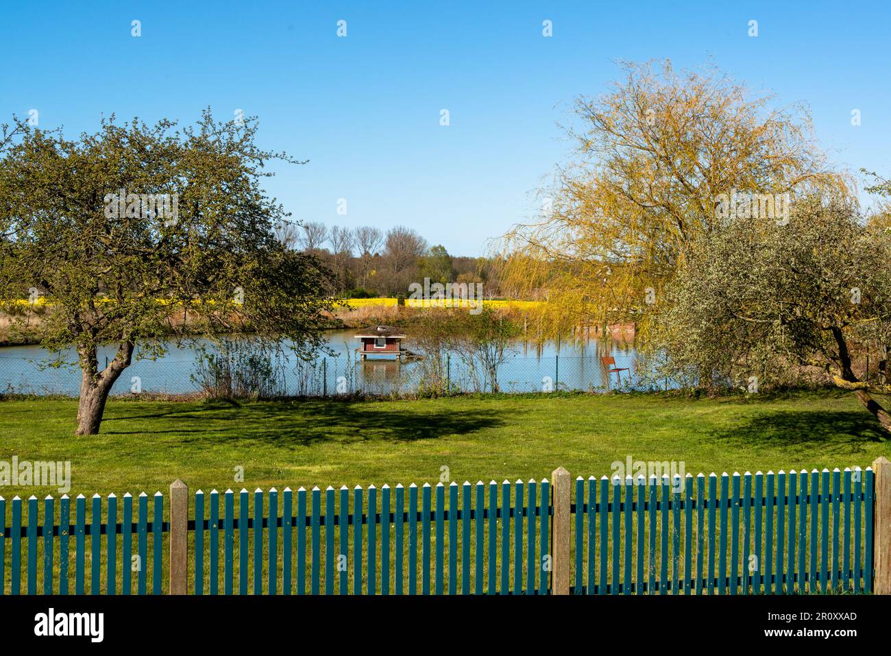 Lanschaftsaufnahme eines Bauernhofes mit Teich und Baumbepflanzung im Hintergrund ein blühendes Rapsfeld vor blauem Himmel Stockfoto