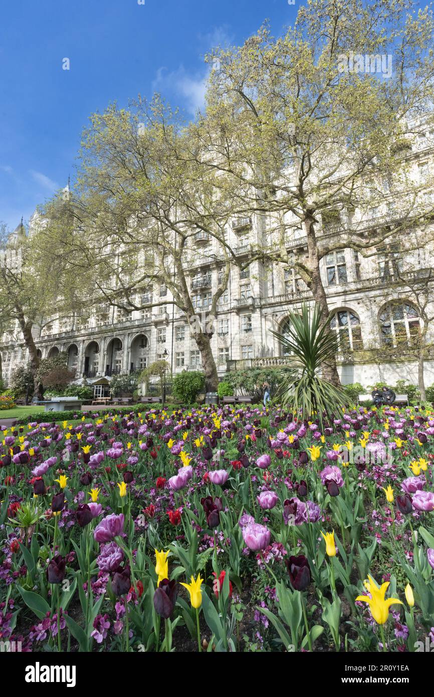 Der Privy Garden of the Palace of Whitehall war ein großer geschlossener Raum in Westminster, London Stockfoto