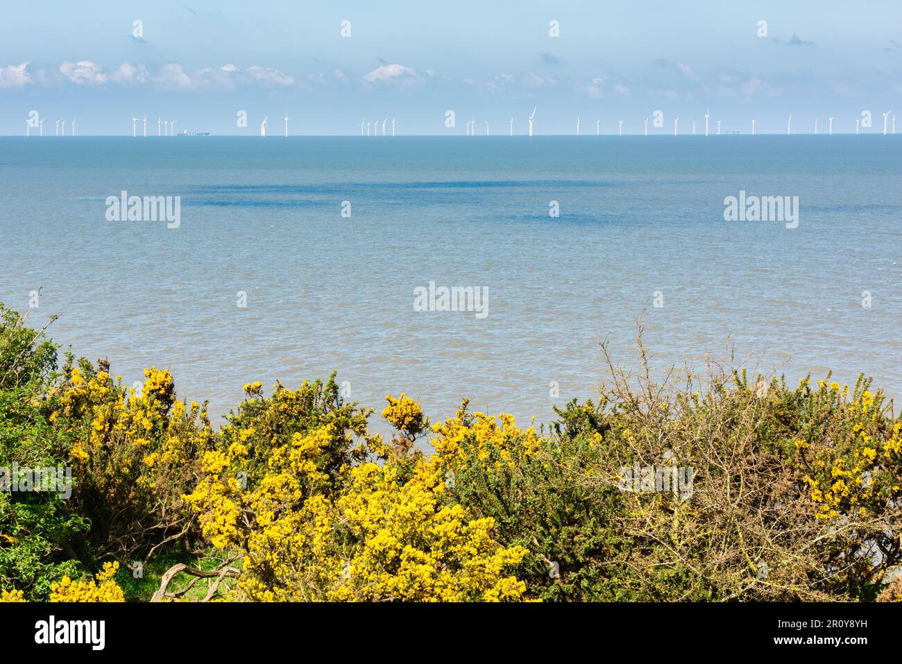 Windpark in Kent, England, vom Küstenpfad zwischen Reculver und Herne Bay aus gesehen Stockfoto