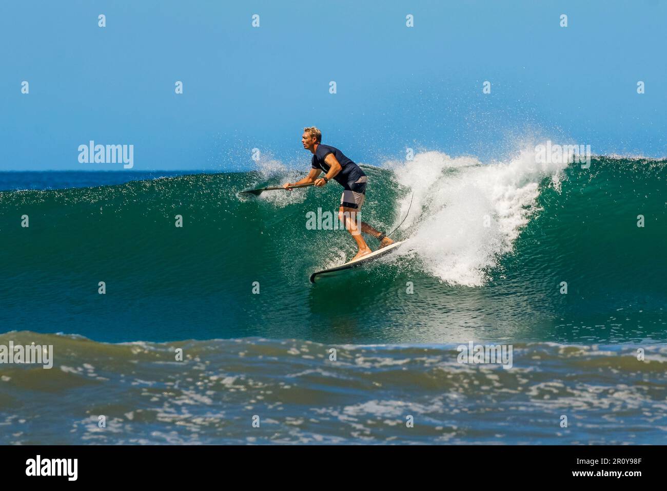 Stand-Up-Paddleboarder Surfen auf dem Gesicht einer Welle an diesem beliebten, angesagten Surf-Strand und Yoga-Ziel. Playa Guiones, Nosara, Guanacaste, Costa Rica Stockfoto