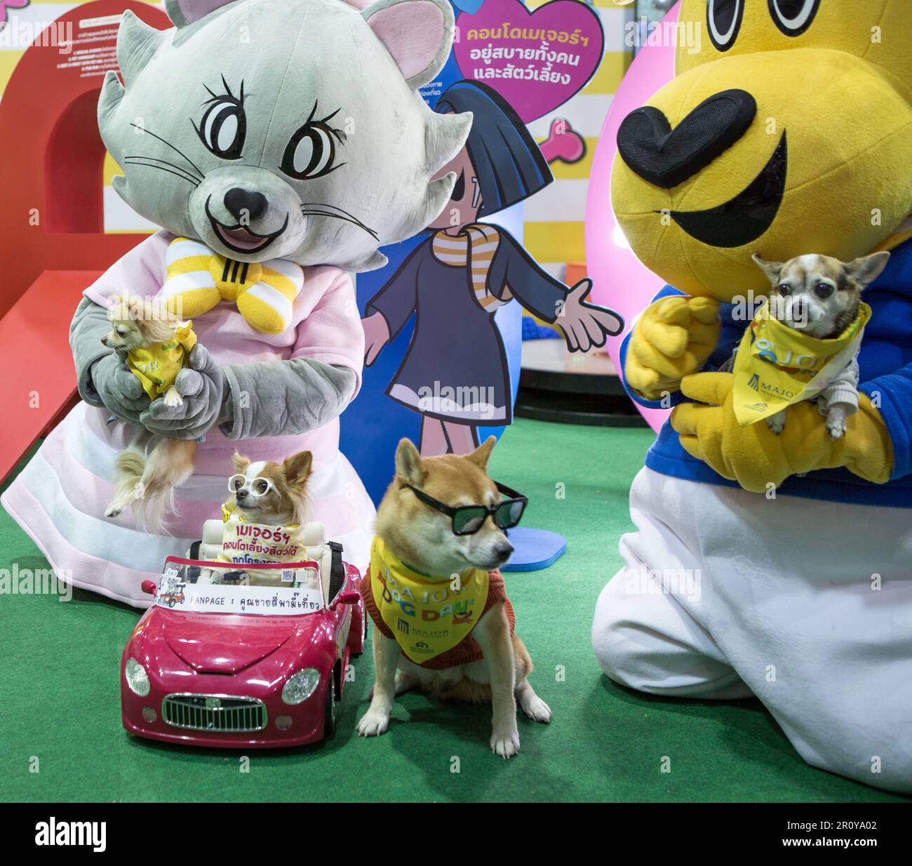 Bangkok, Thailand - 4. Mai 2023: Hunde und Maskottchen für Fotos auf der Pet Expo. Stockfoto