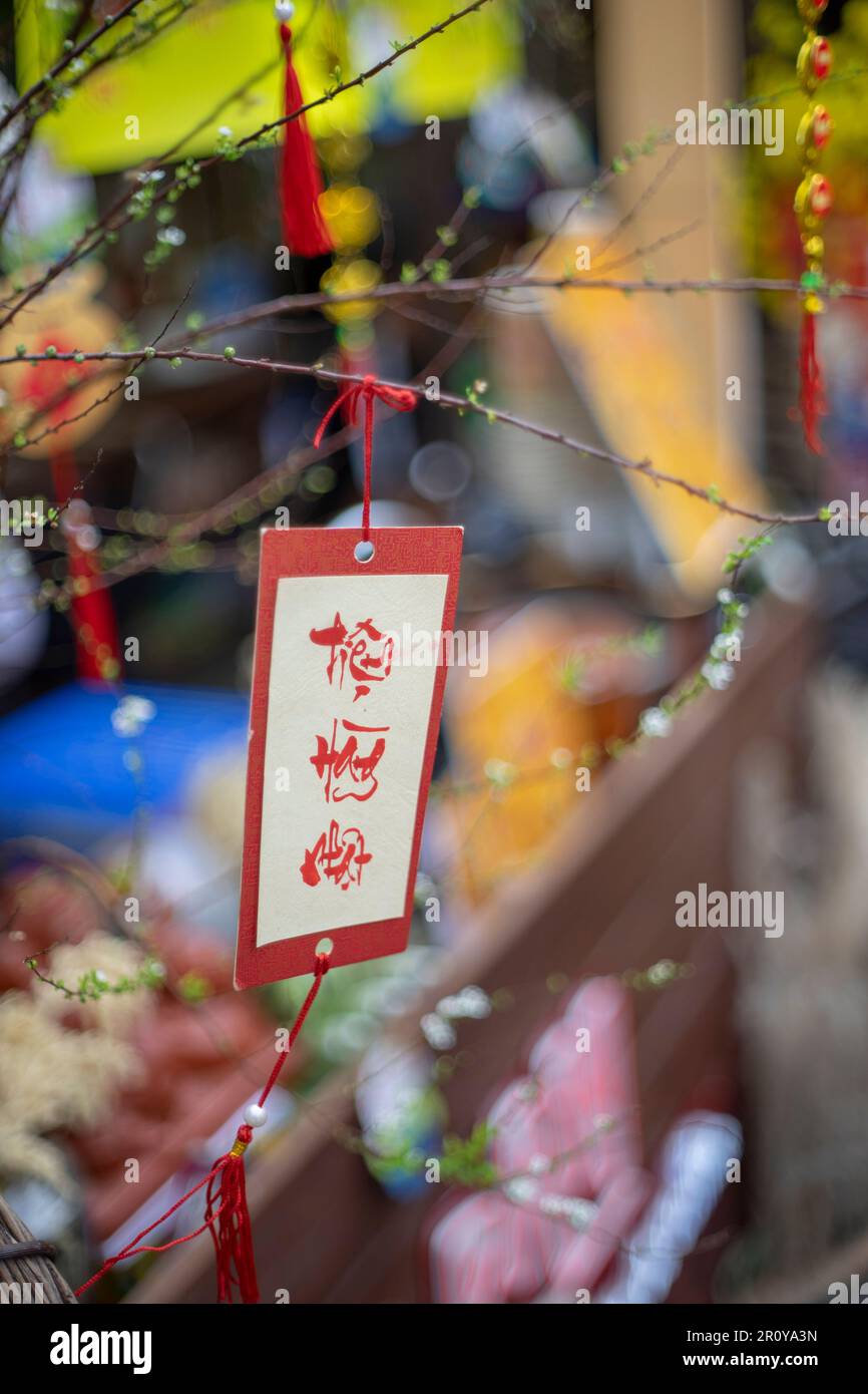 Bunte Blumen und Blätter, großblütige Rosen, kleine Blütenblätter, ovale Blütenblätter, grüne Blätter verschiedener Größe größer als eine Hand Stockfoto