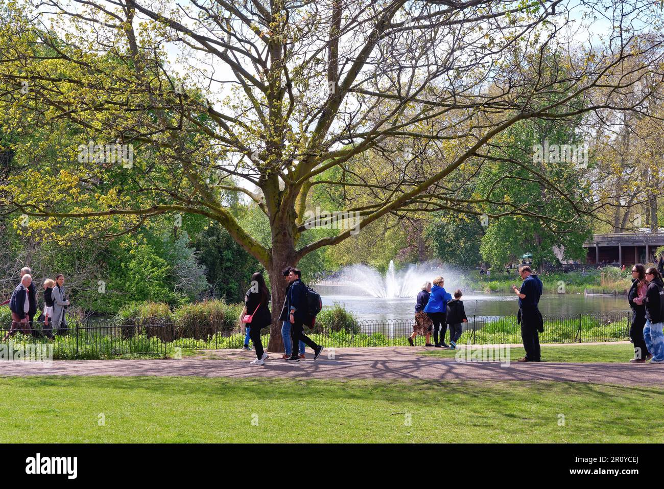 Menschen, die den See und den Brunnen in St. James Park an einem sonnigen Frühlingstag in Westminster, im Zentrum von London, England, Großbritannien Stockfoto