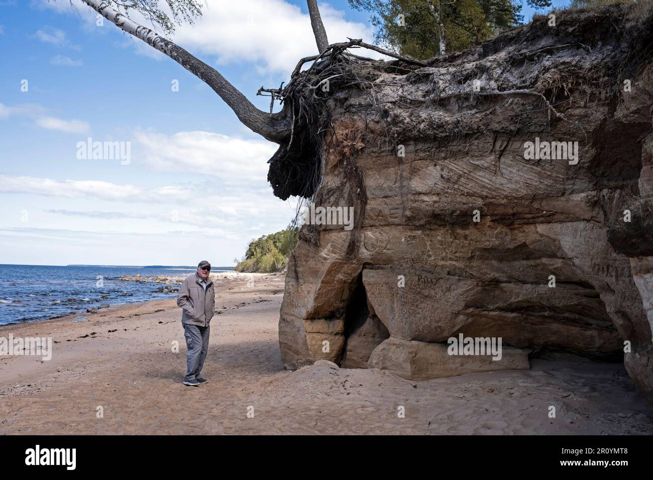 350-380 Millionen Jahre alte Sandsteinfelsen im Naturschutzgebiet „Vidzeme Stony Beach“ Limbaži Distric, Lettland Stockfoto