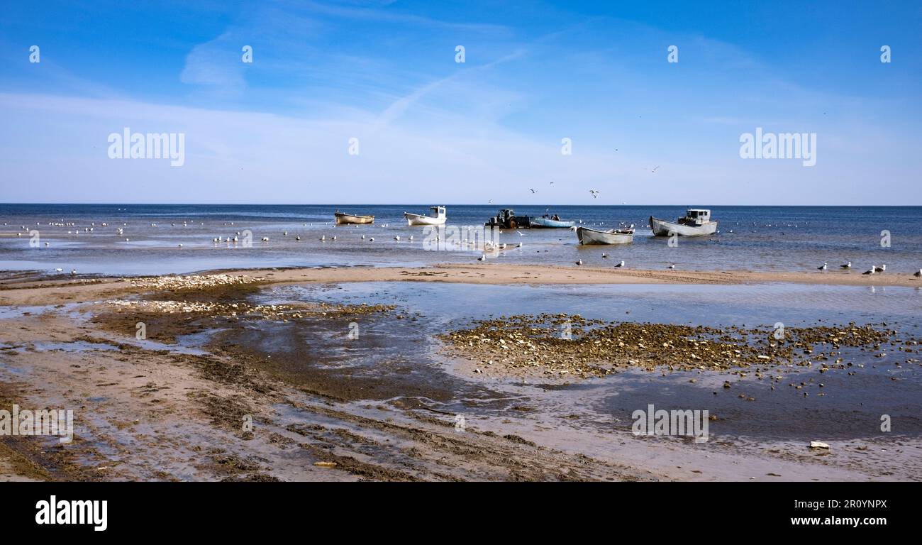 Fischerboote an der Küste in Ragaciems, Kemeri-Nationalpark, Lettland Stockfoto