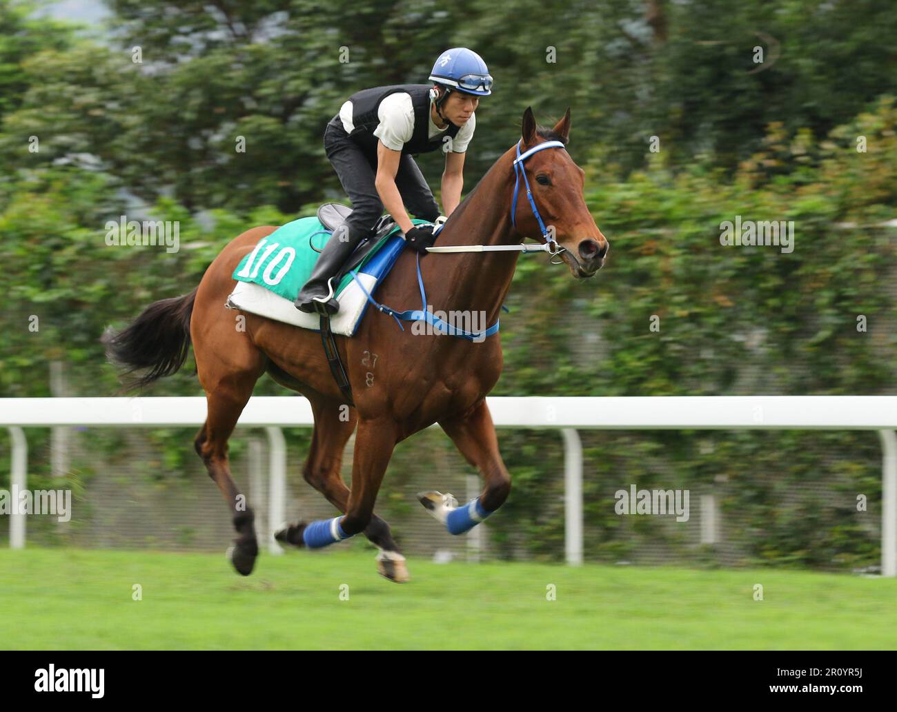 GALAXY ZEUGE (110) galoppiert auf dem Gebiet von Sha Tin. 08MAY23 SCMP/Kenneth Chan. Stockfoto