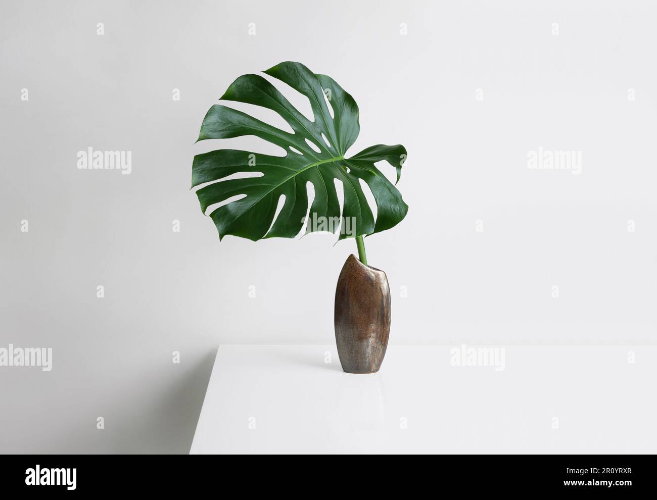 Ein Blatt Monstera Deliciosa oder Schweizer Käsepflanze in einer braunen Vase auf hellem Hintergrund, minimalistisches kreatives Heimdekor-Konzept Stockfoto