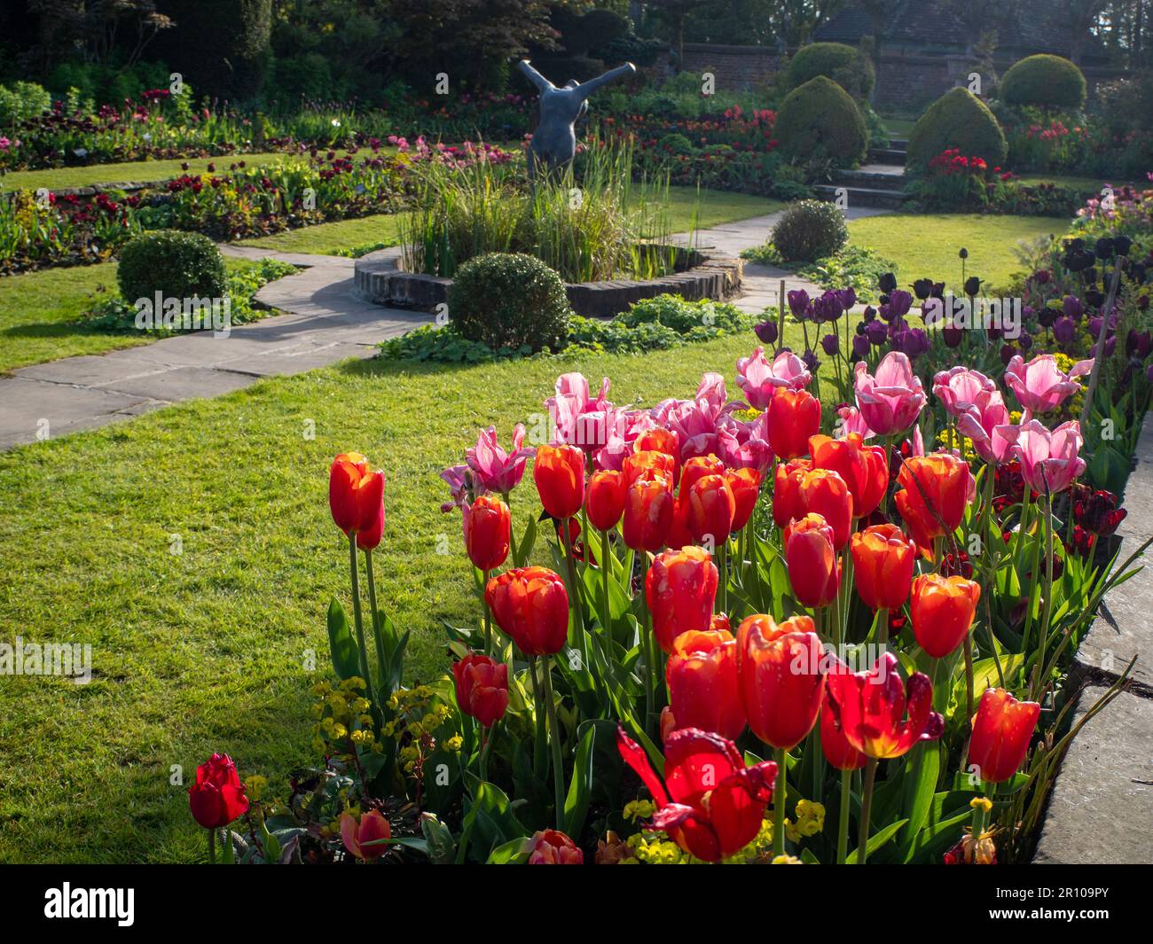 Chenies Manor Garden Tulps im Mai. Leuchtend rote, orangefarbene und rosafarbene Tulpen, die an einem schönen Nachmittag in Schichten in dem terrassenförmig versenkten Garten gepflanzt sind. Stockfoto