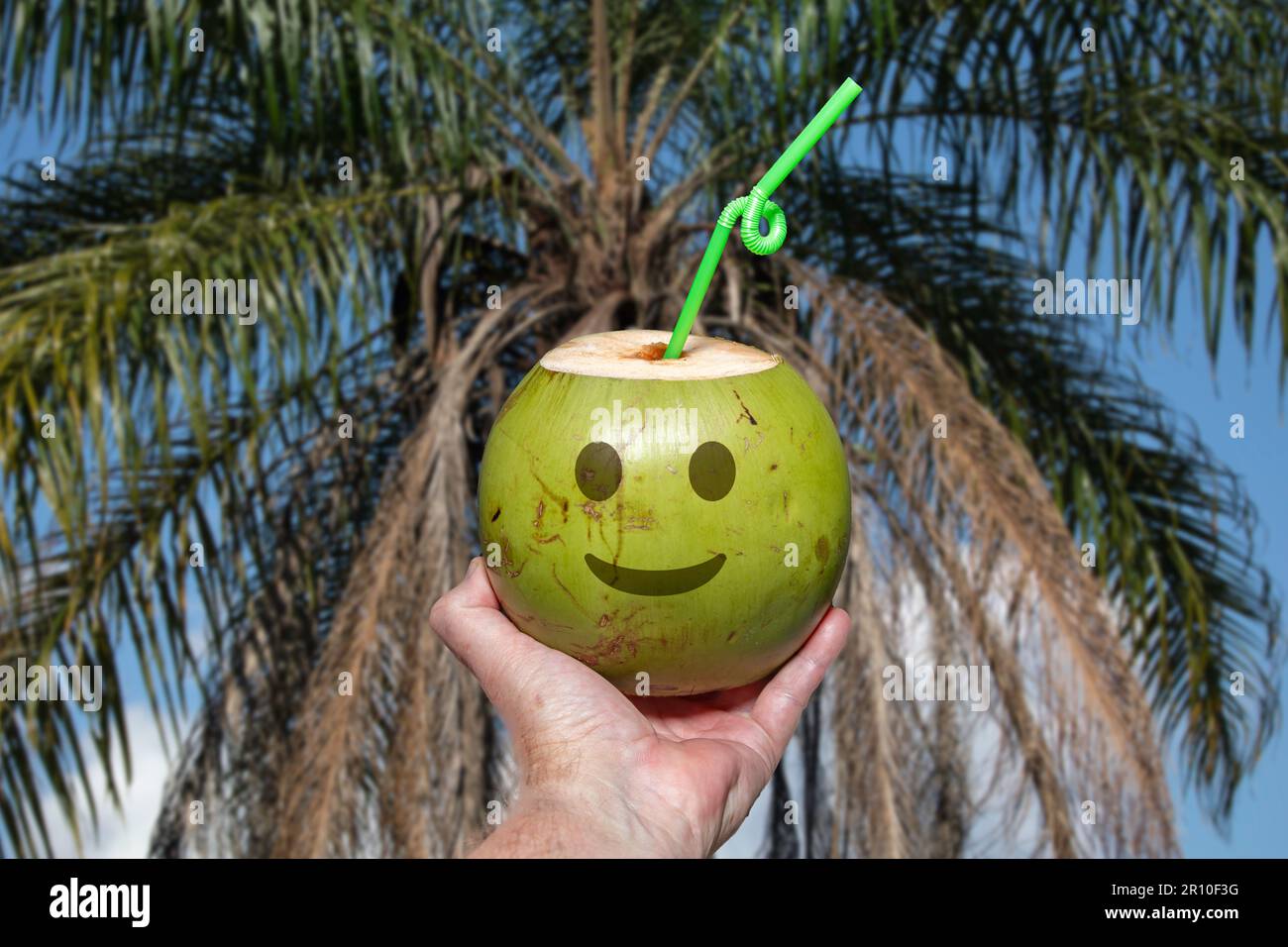 Grüne Kokosnuss mit gezogenen Emoji. Tropisches Kokoswasser im Selektivfokus. Künstlerisches Foto Stockfoto