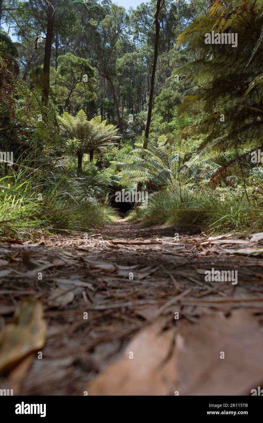 Wer weiß, wohin das führen könnte. Stockfoto