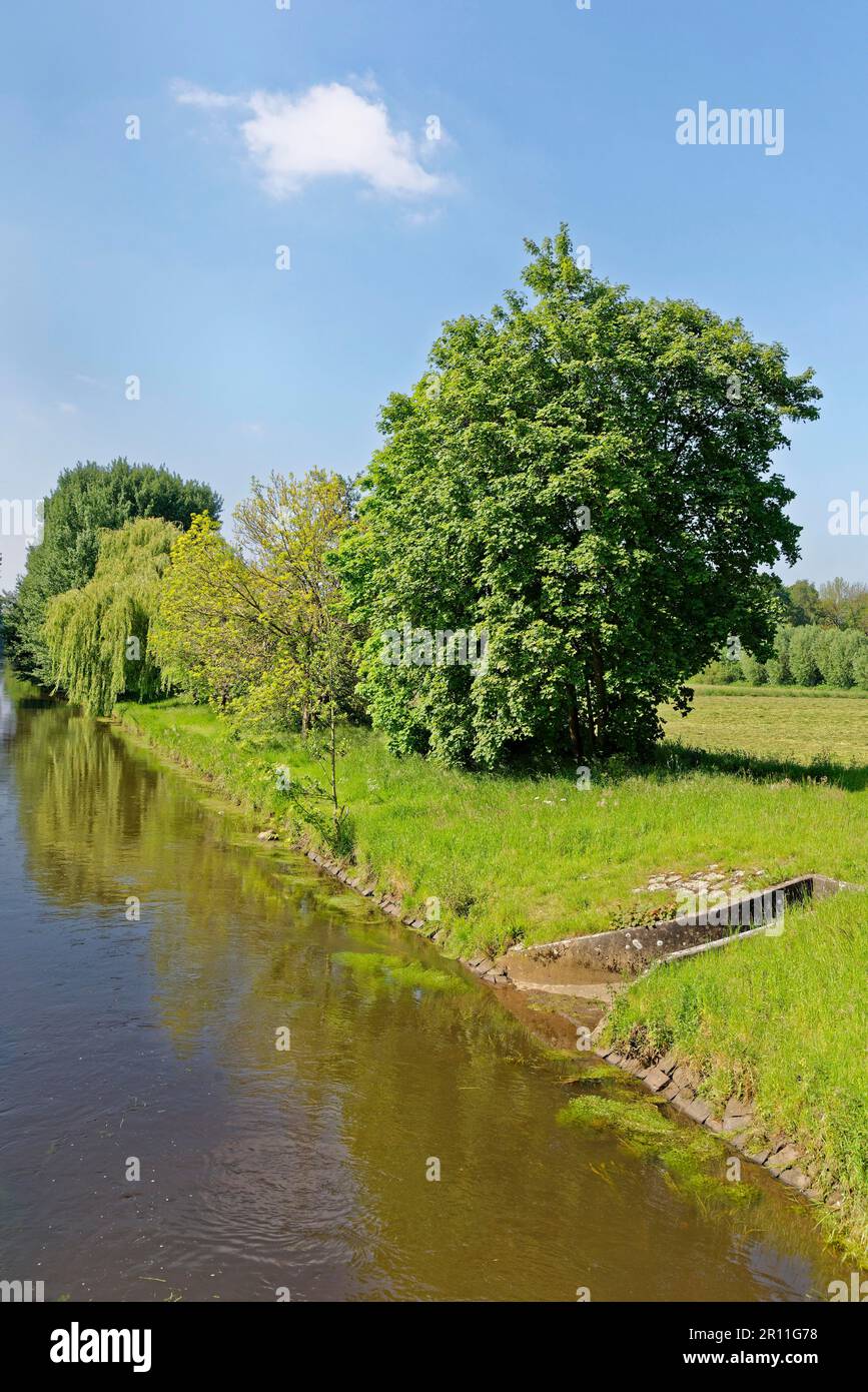 Niers, Grefrath, Viersen District, Nordrhein-Westfalen, Nordrhein-Westfalen, Deutschland Stockfoto