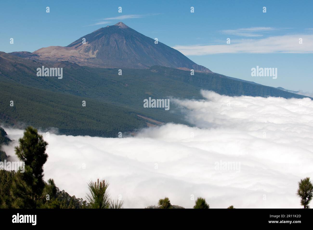 Teide und Wolkenmeer, Mar de Nubes, Teneriffa, Kanarische Inseln, Spanien Stockfoto