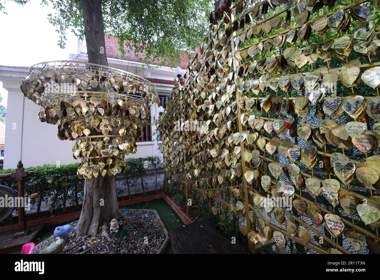 Herzförmiger Liebesreiz in einem Garten in Wat Saket, Bangkok, Thailand. Stockfoto